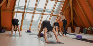 Groep mensen in Yoga positie in de top van de wellnesspiramide onder begeleiding van een docente tijdens een Yogales.
