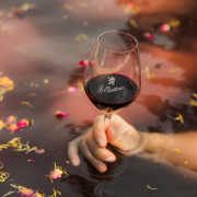 Glas rode wijn in wijnbad met wijnpulp in het water